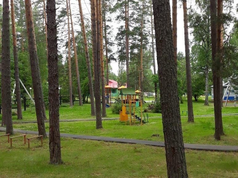 В период летнего отдыха нормы питания должны быть увеличены не менее чем на 10 % в день на каждого ребенка, - сообщается в документе. дубинна 2 прислал директор.jpg