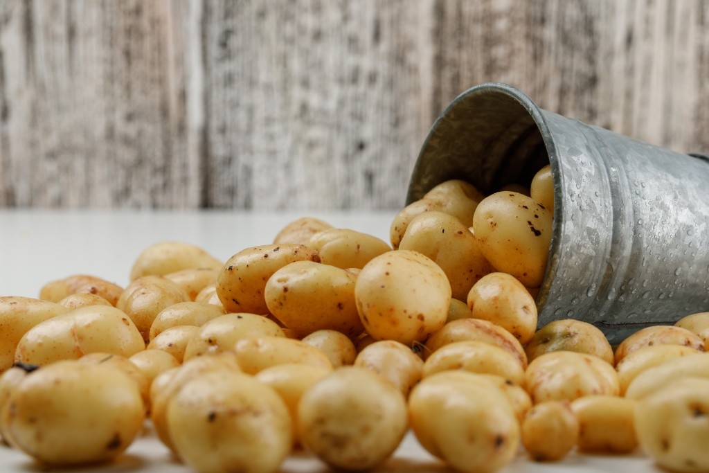 scattered-potatoes-from-mini-bucket-white-grungy-wooden-wall-side-view.jpg