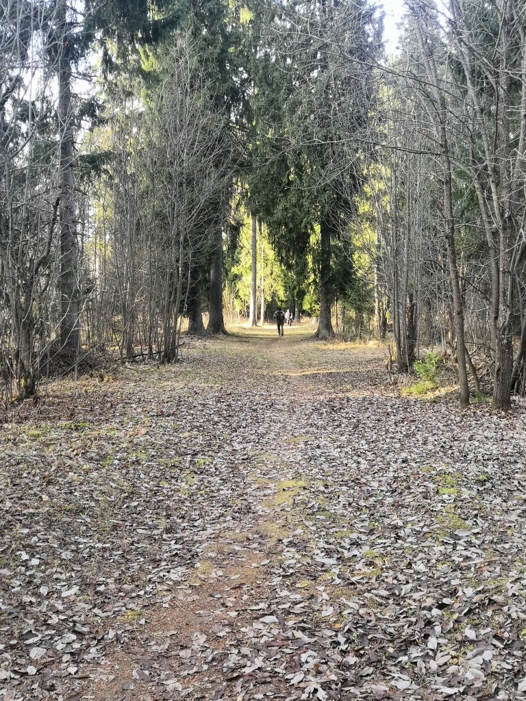 Вот он проспект Гагарина. Вот он проспект Гагарина.jpg