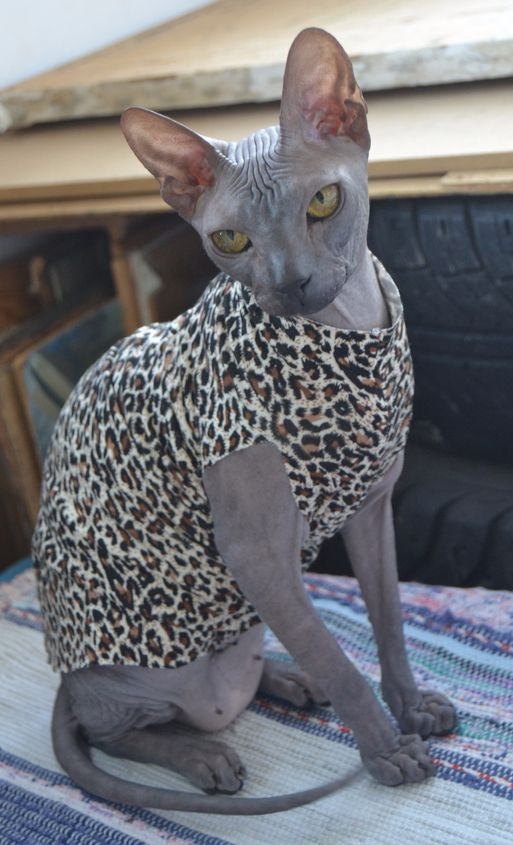 У Дуси нет недостатка в модных одежках