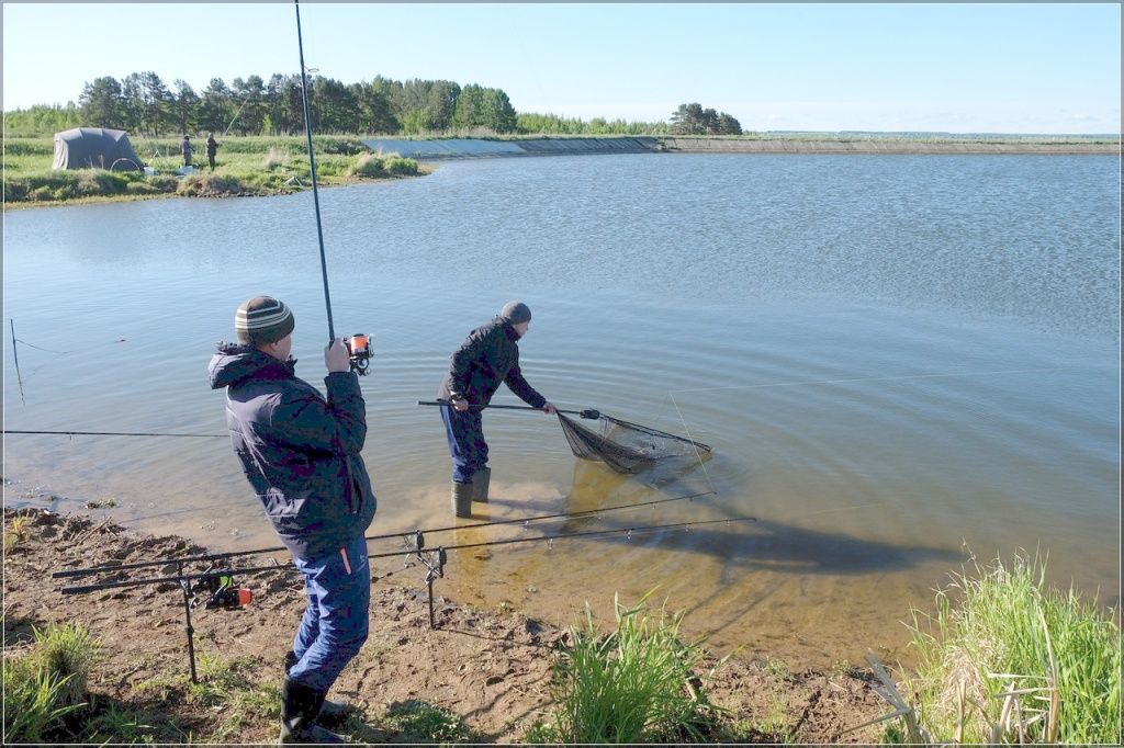 Вдвоем великана вытащить легче..jpg