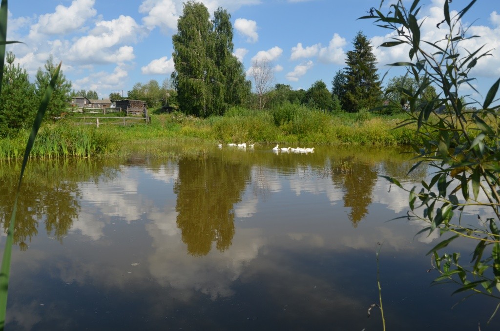 У лесника есть собственное озеро. У лесника есть собственное озеро.jpg