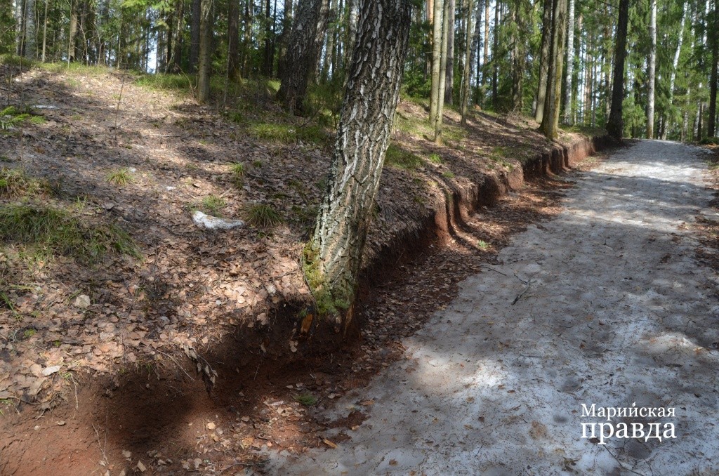 Сколько земли здесь перелопачено, чтобы выровнять трассу, просто не счесть..jpg