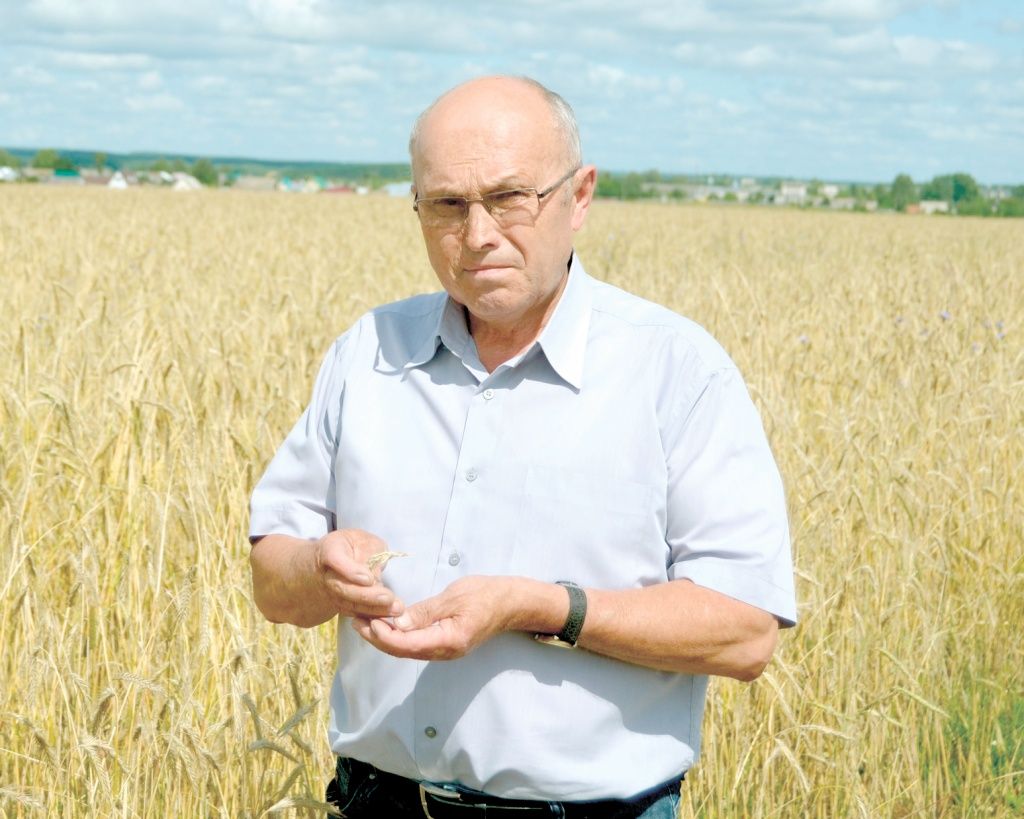 Аркадий Новиков