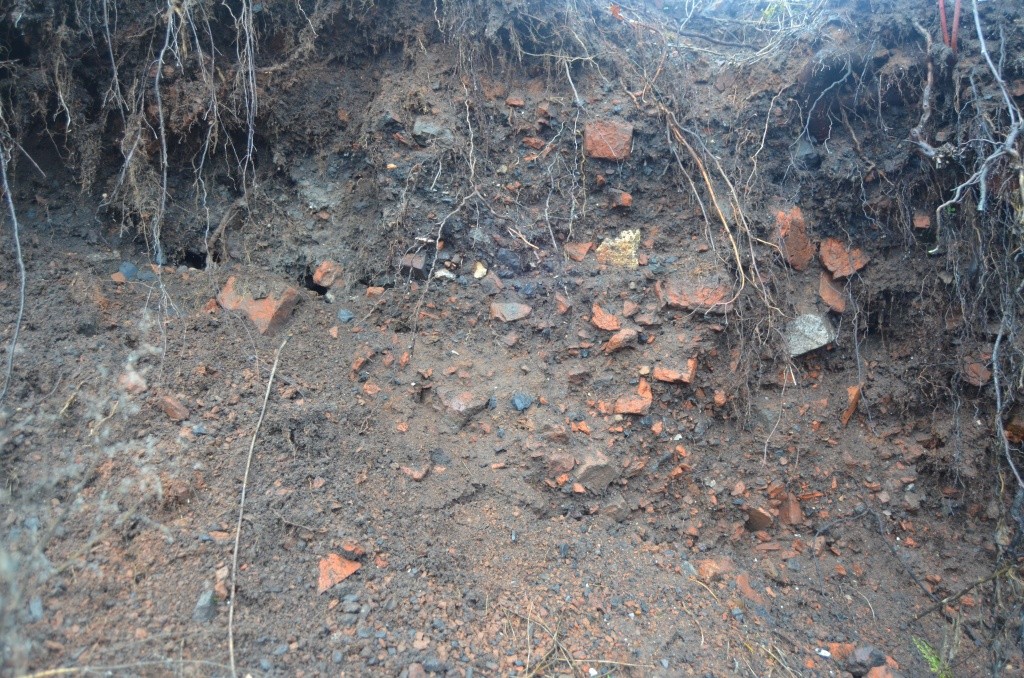 Земля здесь буквально нашпигована кирпичным боем. Земля здесь буквально нашпигована кирпичным боем.jpg