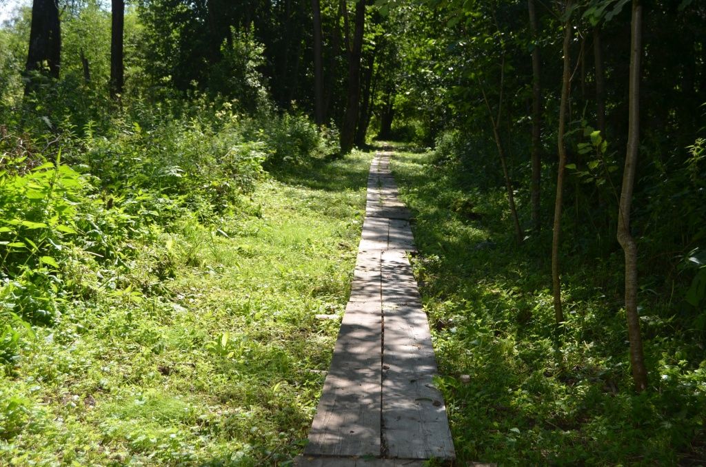 Наверное,это единственное место, где в лесу проложены тротуары.JPG