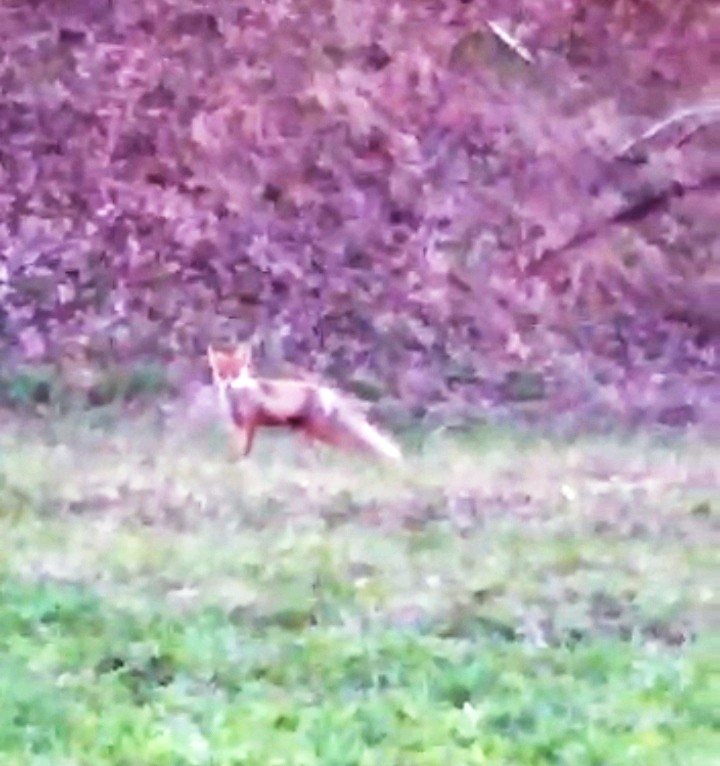 Патрикеевна превратилась в кримильного авторитета (1).jpg