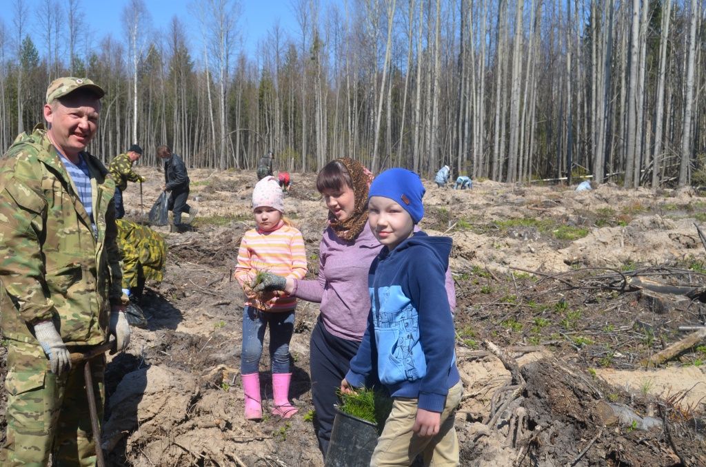 Семья Щербаковых трудилась в полном составе.JPG
