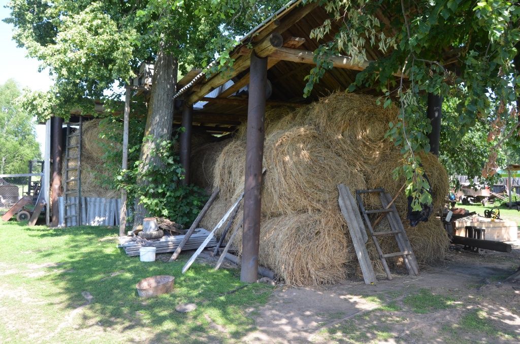 У хороших хозяев сено хранится под крышей.JPG