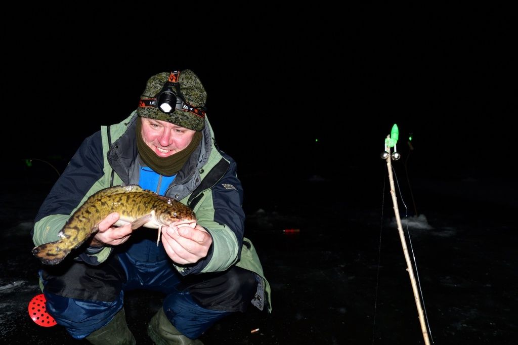 Вот он - красавец-налим