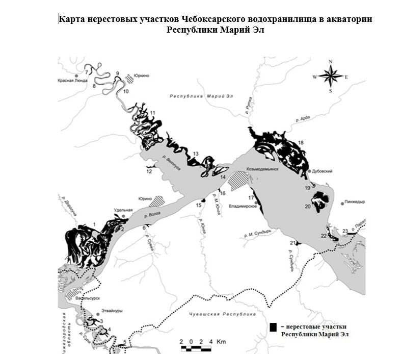 Карта нерестовых участков.jpg