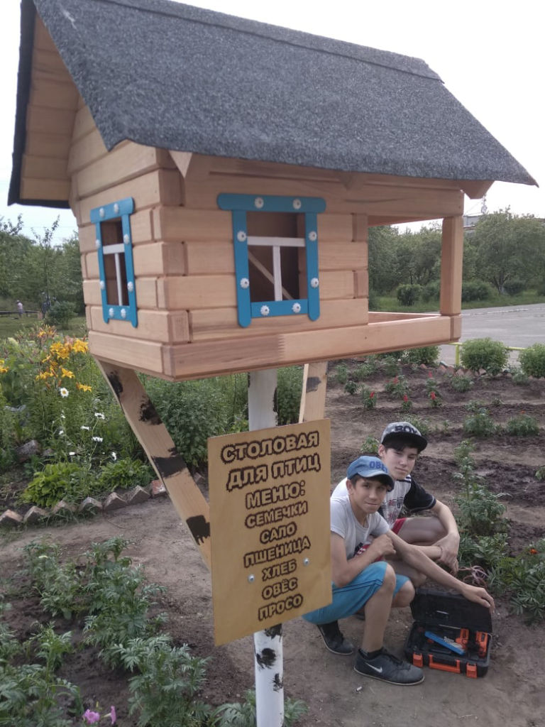 Столовая для птиц