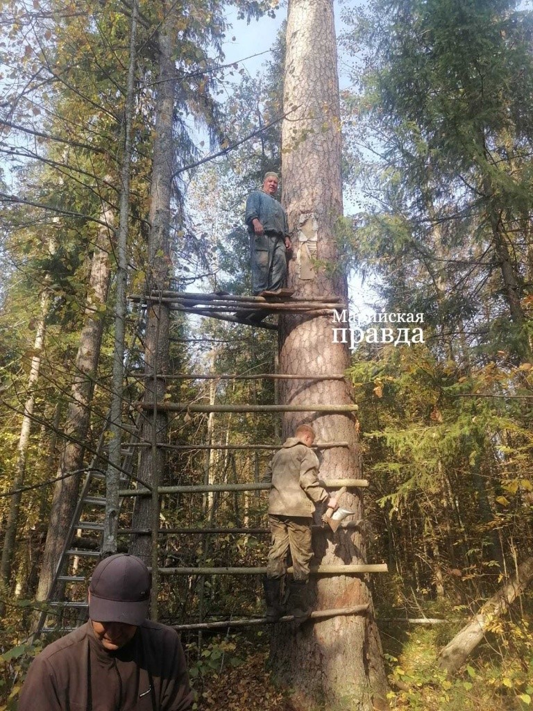 Гляжу на всех я сверху вниз и это главное..jpg