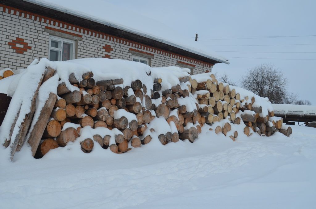 Дровяной запас на зиму сделан благодаря снегоходу.JPG