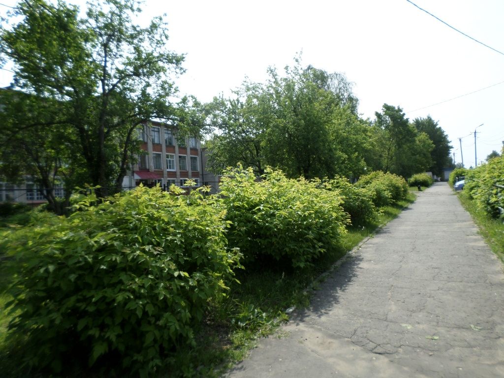 Фотография места до реализации проекта.JPG