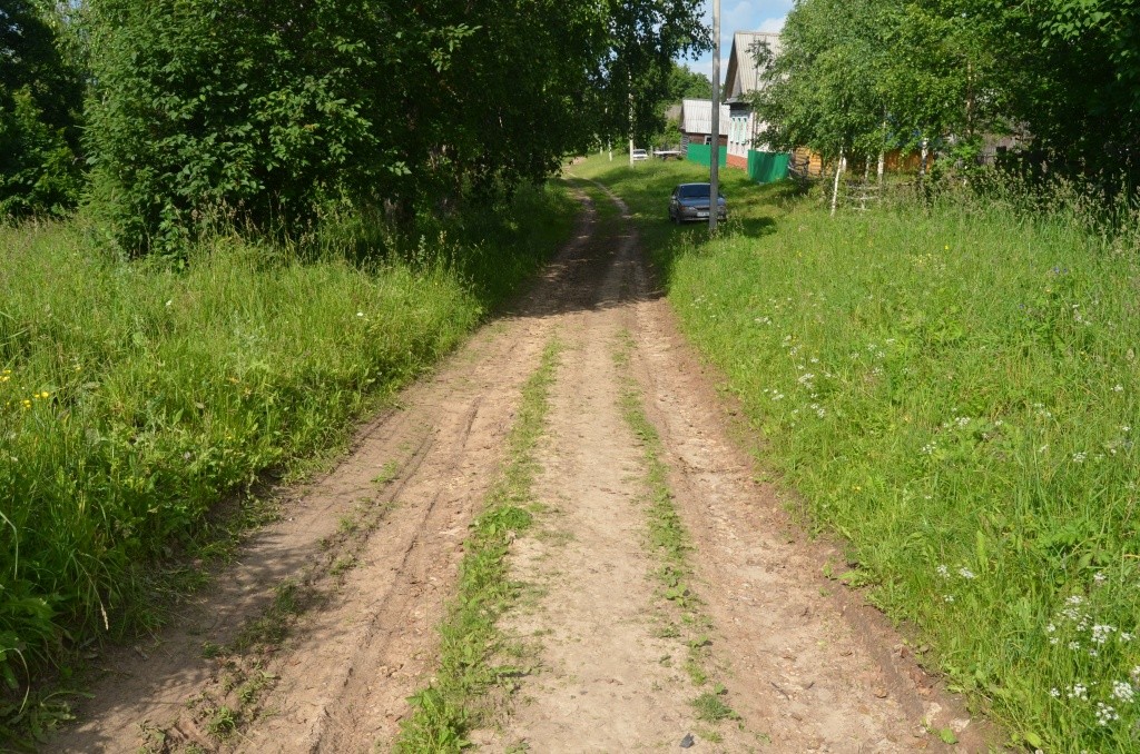 Улица Лесная или починок, как зовут ее местные жители.JPG