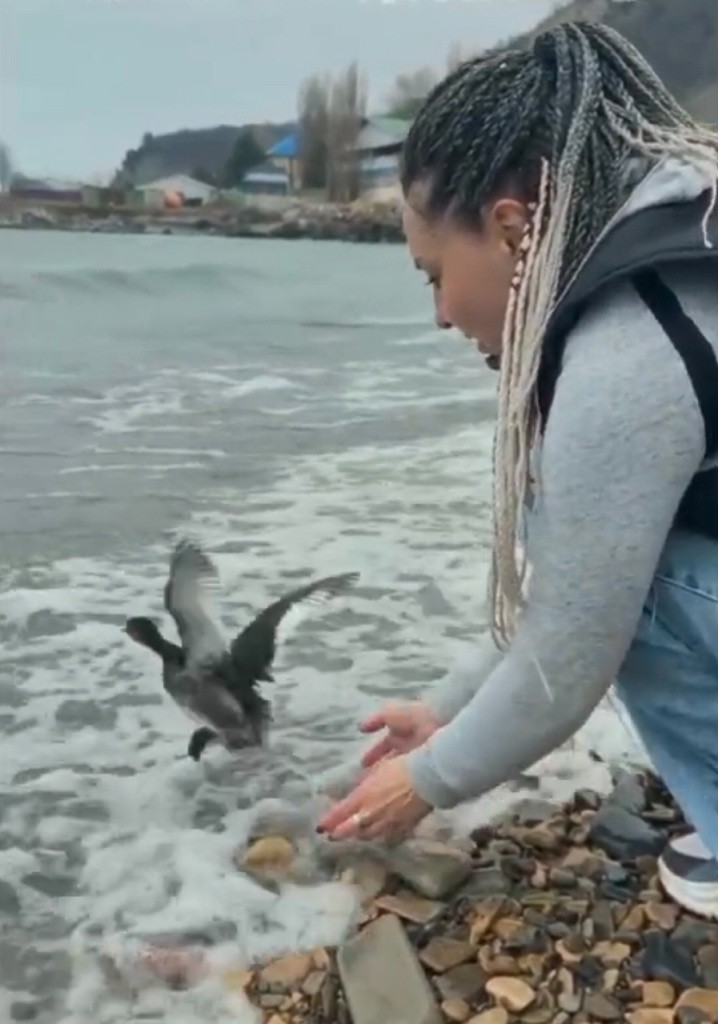 выпуск2.jpg выпуск2.jpg