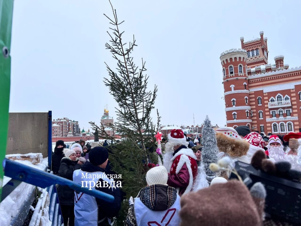 Передача ёлочек