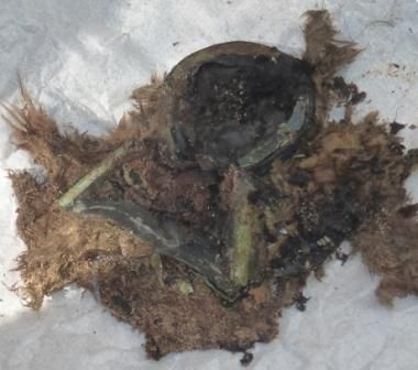 Без имени-4.jpg