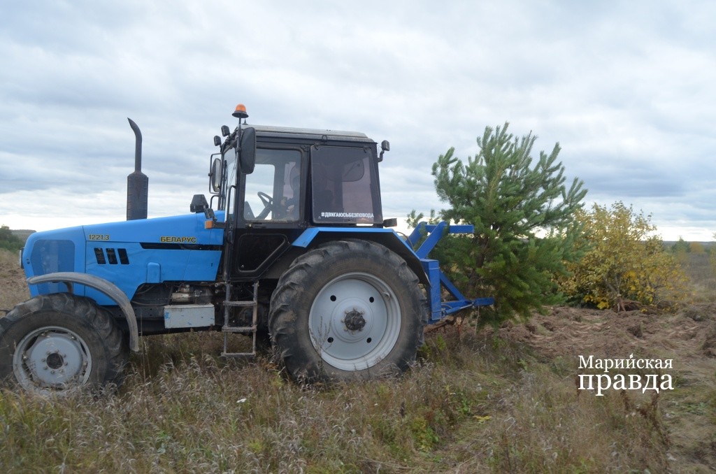 Выдранные деревья Стас свозит в кучи..jpg