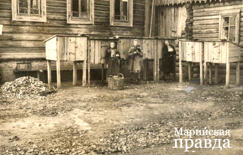 Для школьной столовой откармливали кроликов 1965 год.png