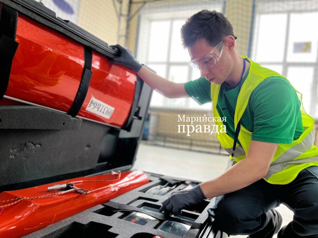 Профессионалы 6