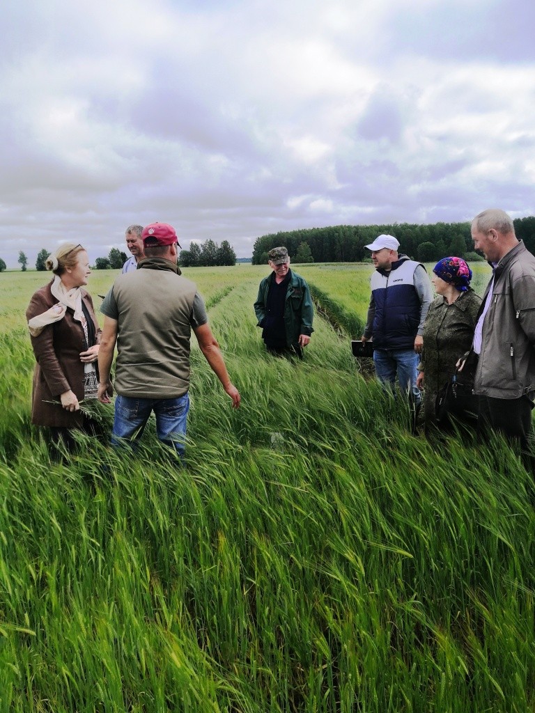 Комиссия за работой.jpg