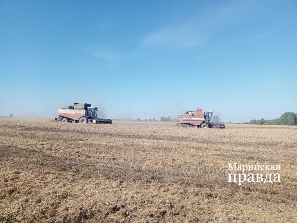 Последние проходы комбайнов - уборка зерновых завершена..jpg