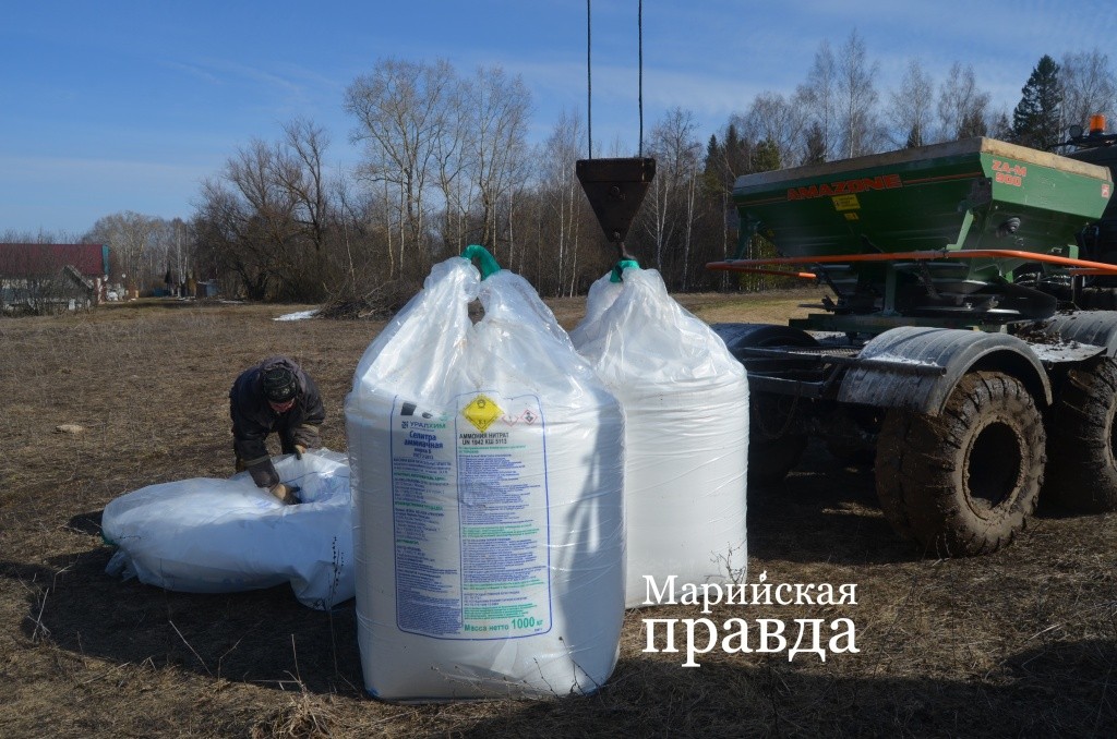 Допингом для всходов является богатая азотом аммиачная селитра 1.jpg