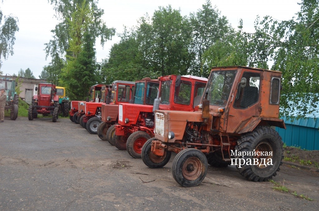 Красиво стоят..jpg