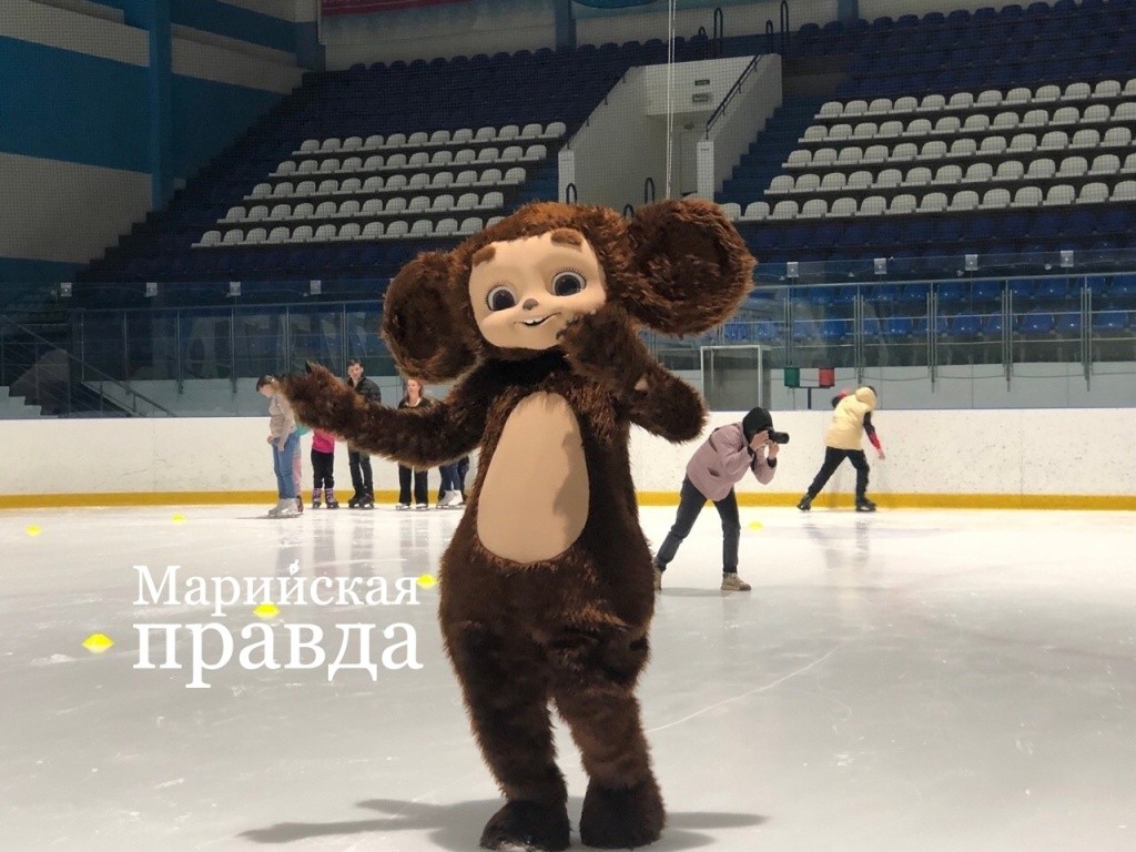 cheburashka (1) (1).jpg