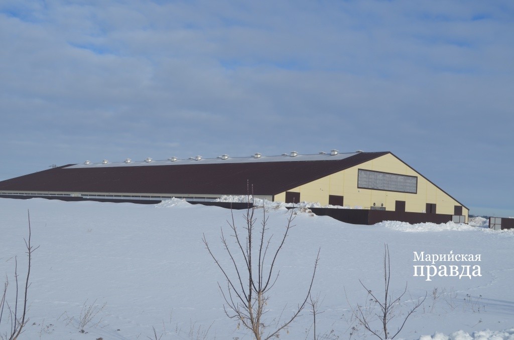 В чистом поле появилось комфортабельное общежитие на 500 с лишним квартиранток. В чистом поле появилось комфортабельное общежитие на 500 с лишним квартиранток..jpg