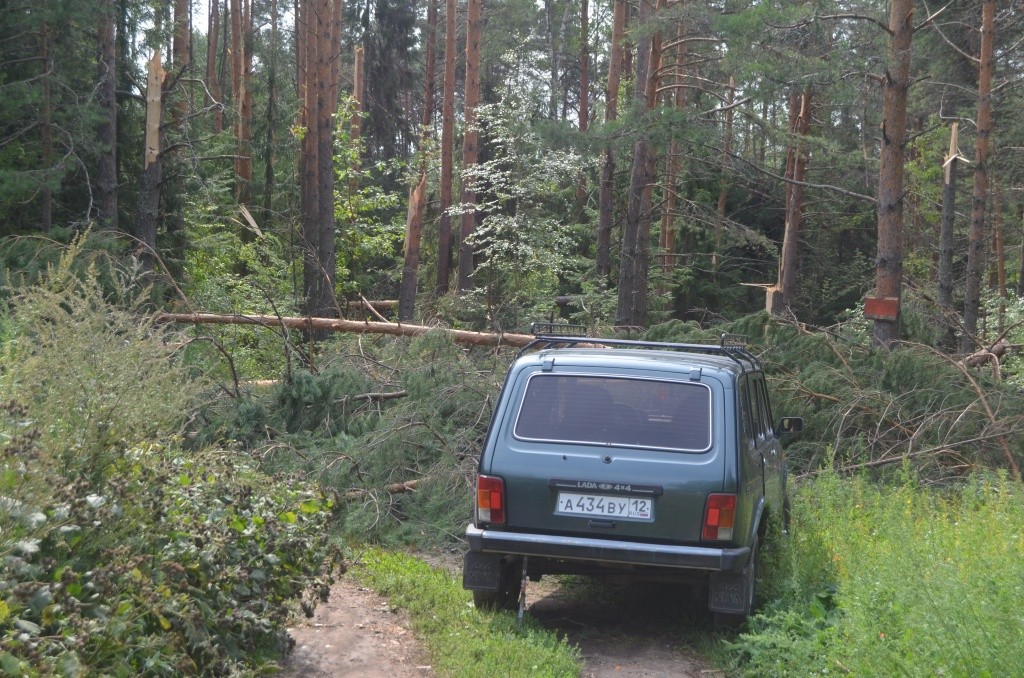 Проезд завален упавшими деревьями.JPG