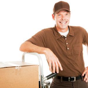 professional-mover-300x300-300x300.jpg