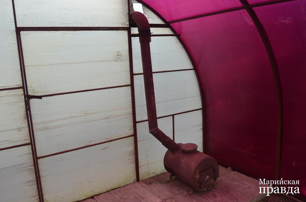 Рабочим местом умельца в холода является теплица, куда он предусмотрительно устанавливает печку - буржйку.JPG