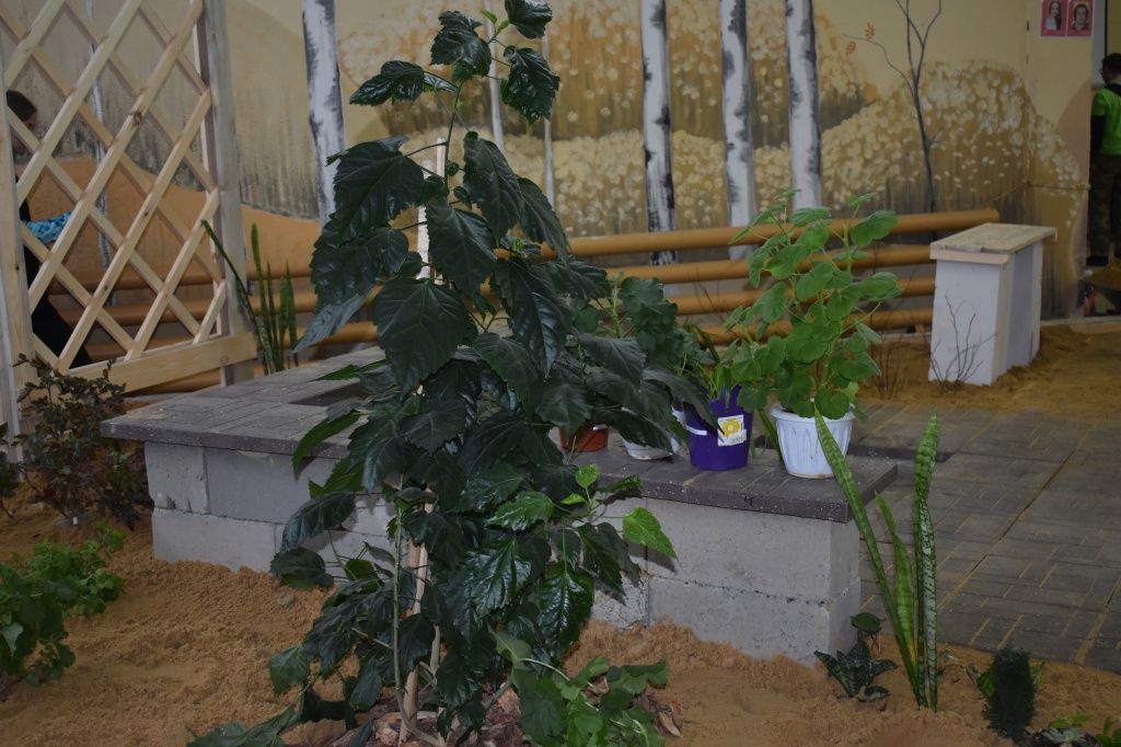 Один из мини-садов