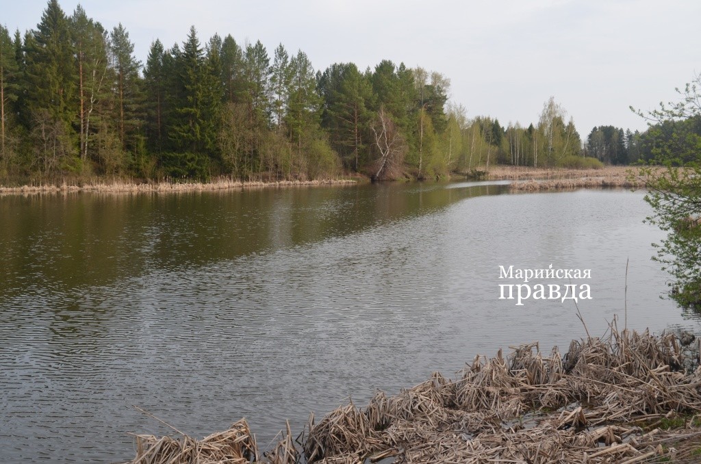Тот самый водоем возле бывшей деревни Калиново..jpg