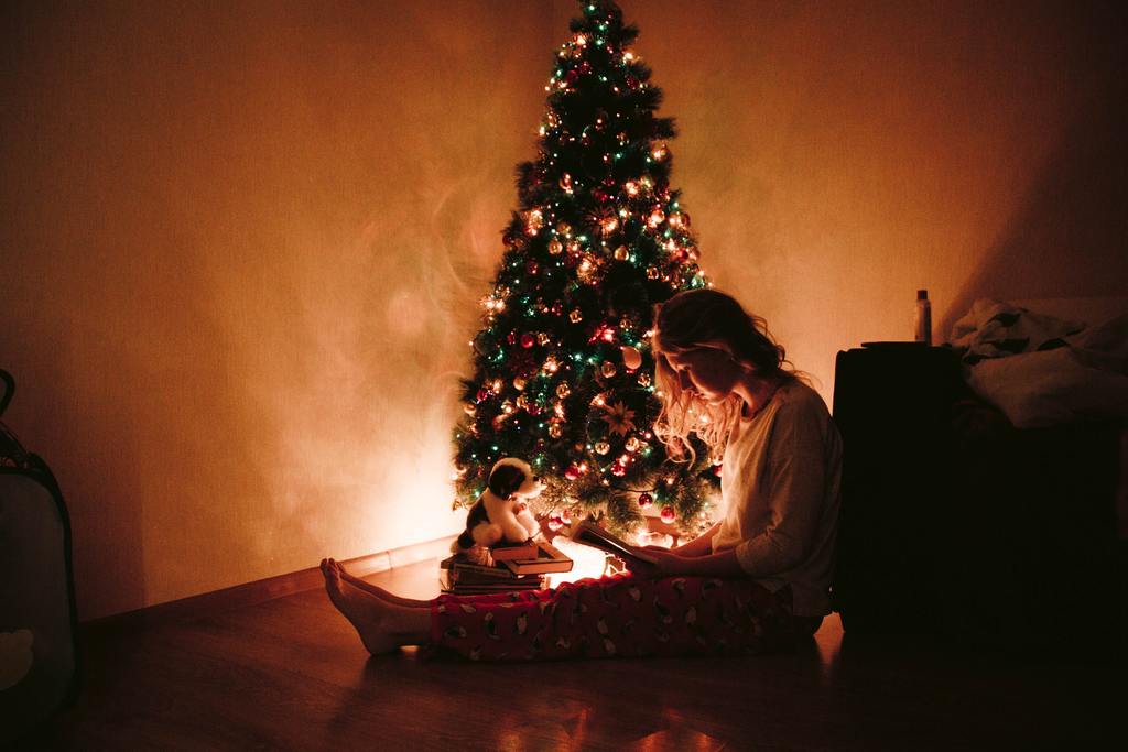 adult-christmas-christmas-decorations-christmas-tree-dark-furniture-1561953-pxhere.com.jpg