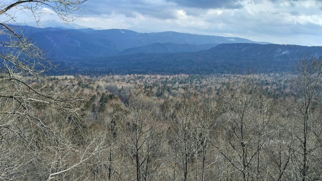 Типичный пейзаж в Приморского края