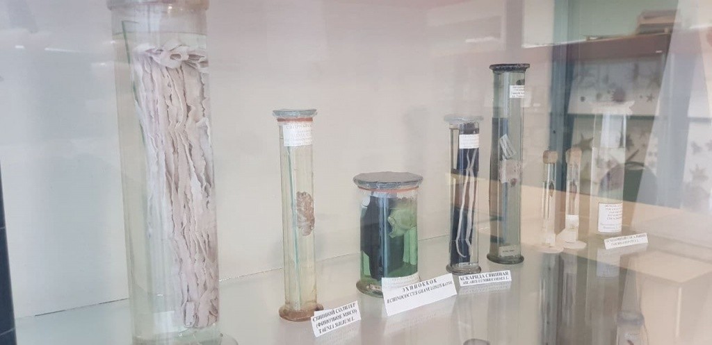 photo_2021-12-08_12-47-00 (4).jpg