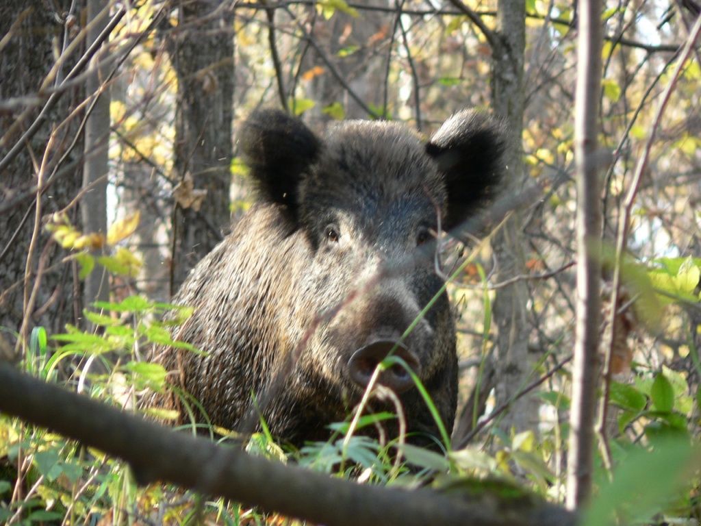 Фото Геннадия Богданова