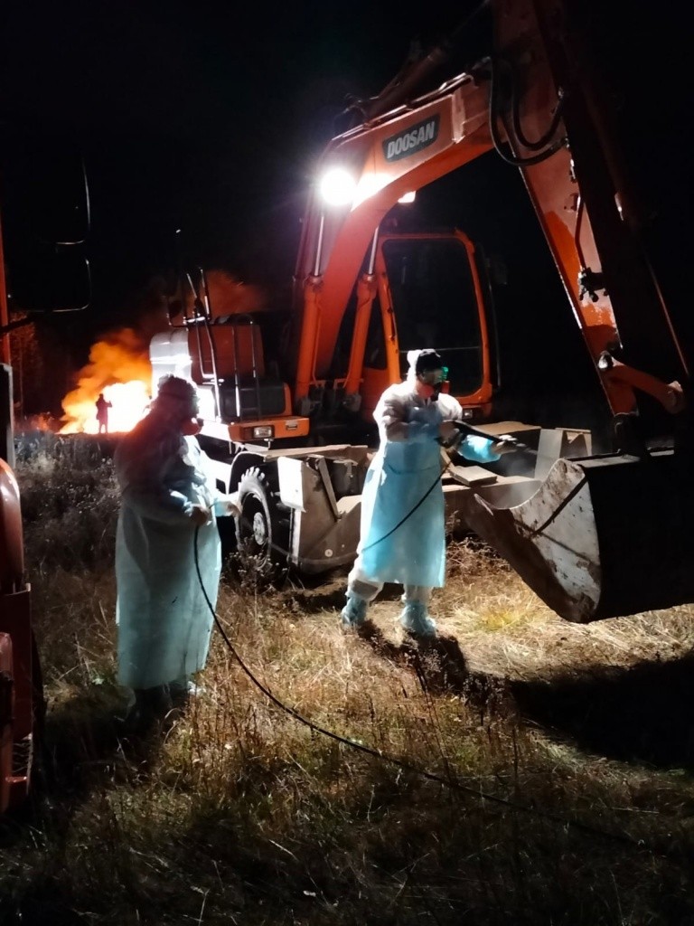 Ликвидация 2.jpg