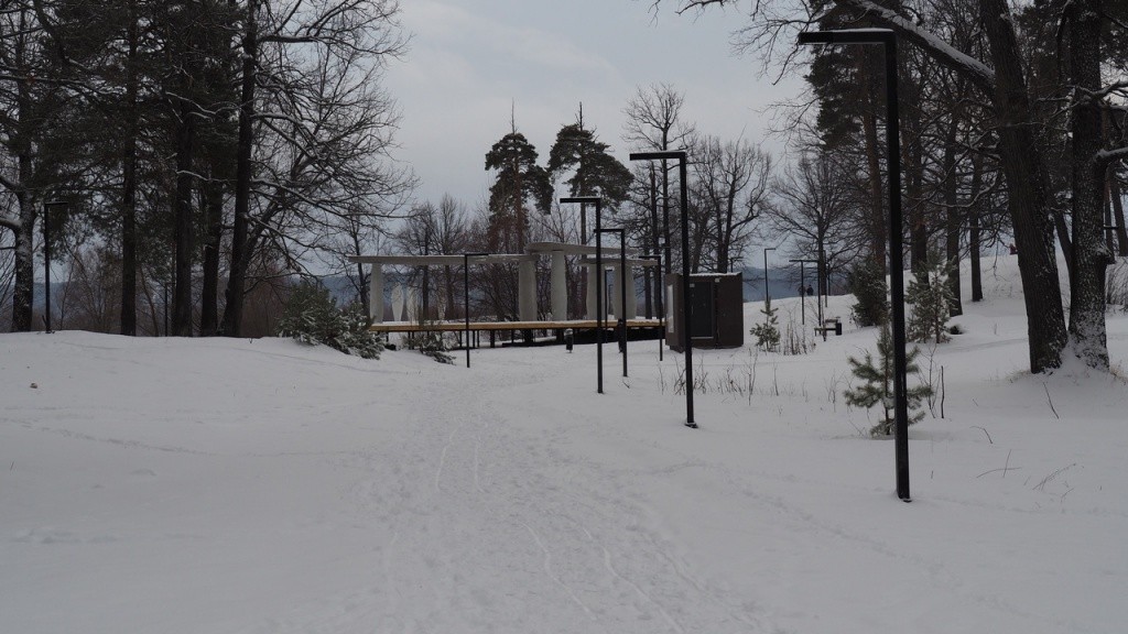 Дубовая роща