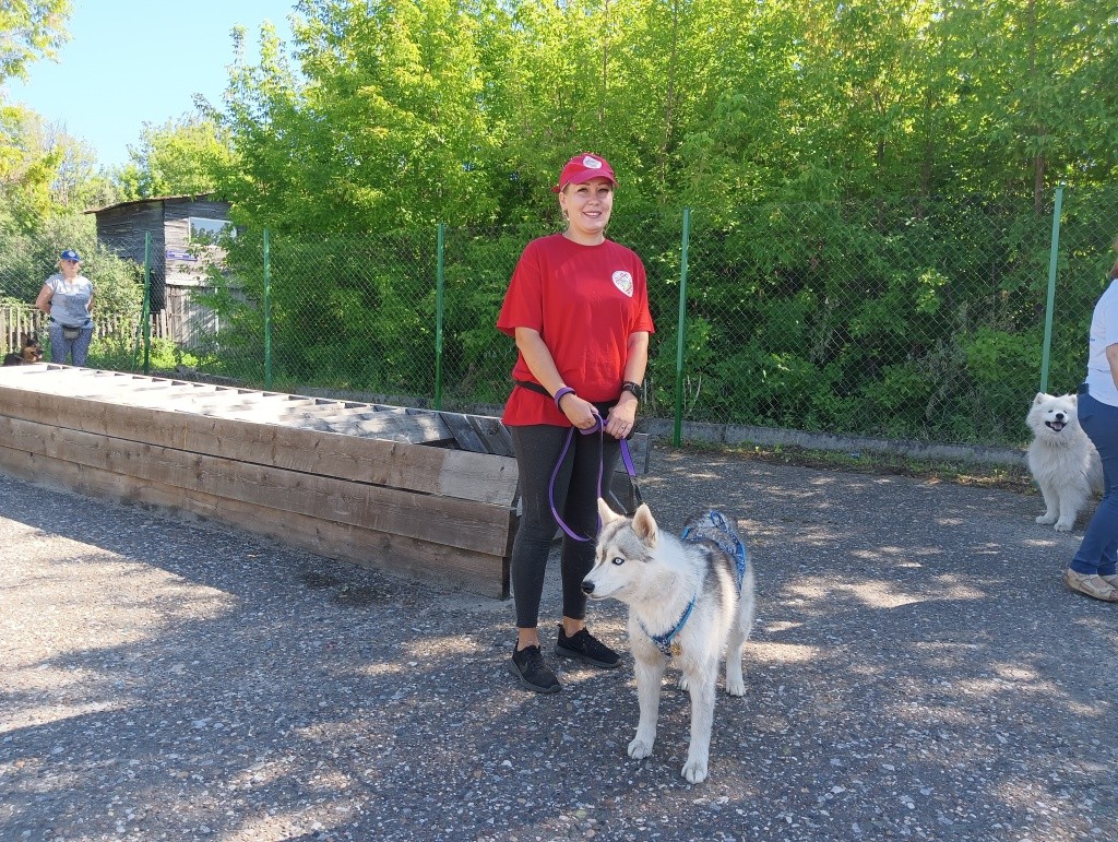 День фронтовой собаки.