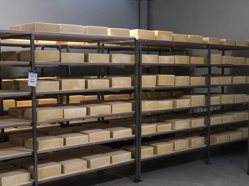 WhatsApp Image 2020-01-31 at 16.04.50.jpeg