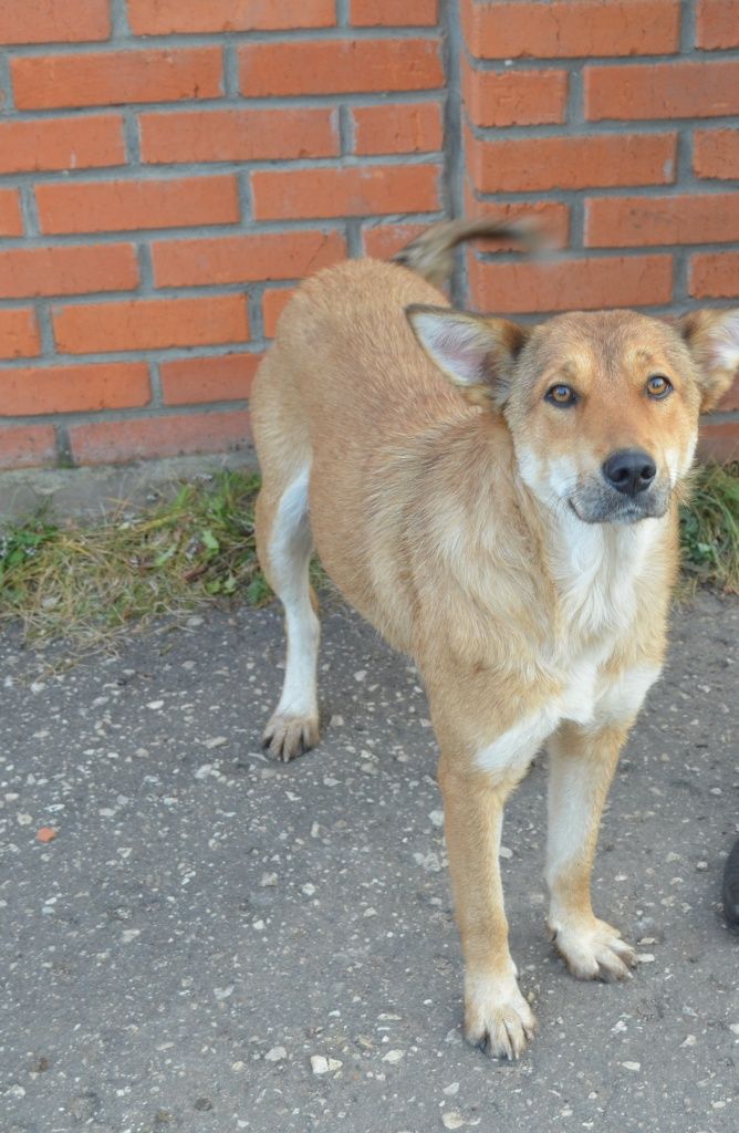 Тот самый Чубайс.JPG