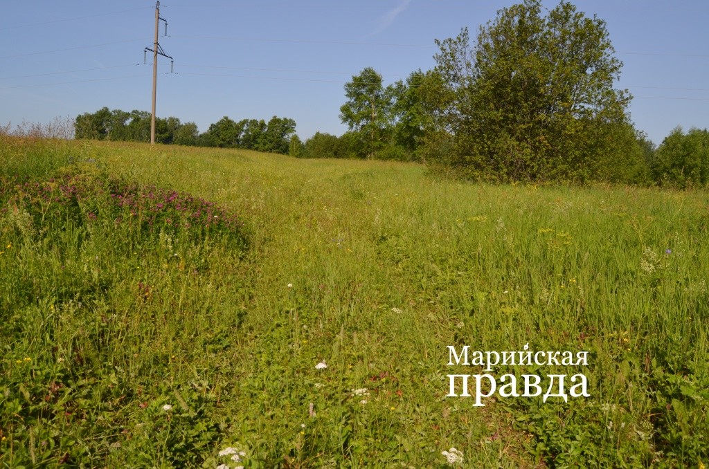 Попробуй, догадайся, что здесь еще не так уж и давно стояла деревня. Попробуй, догадайся, что здесь еще не так уж и давно стояла деревня..jpg