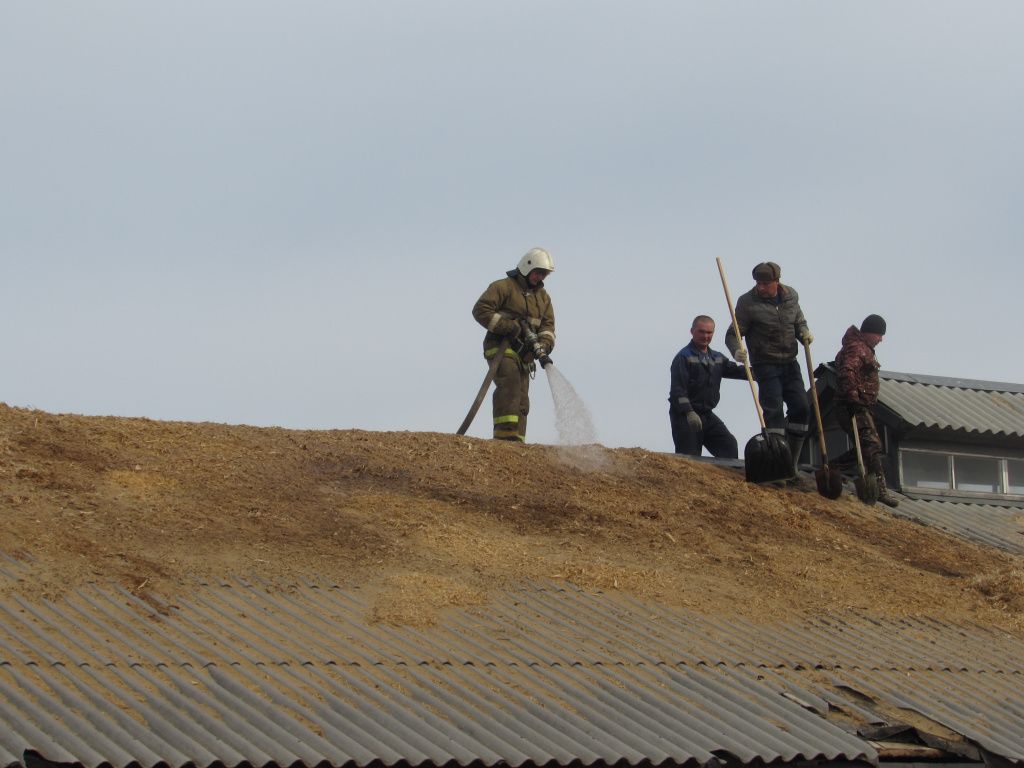 пожар 005.jpg