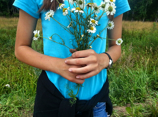 15:35 Интересно, а у многих эти цветы - любимые?