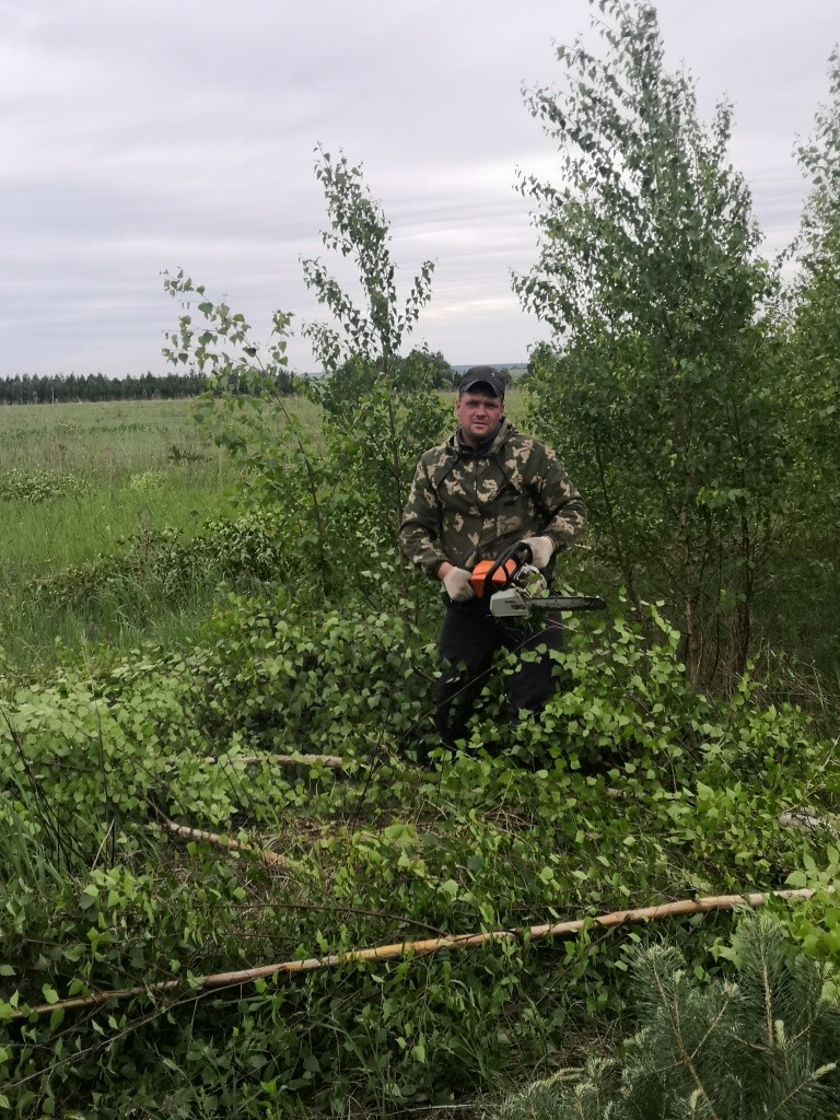 Бригада работала в четыре бензопилы.jpg